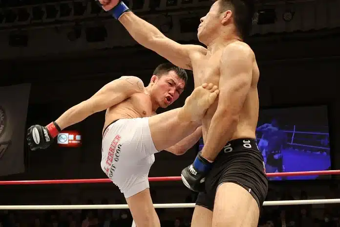 MMA Mixed Martial Arts