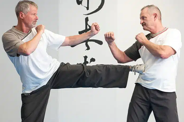 Wing Chun